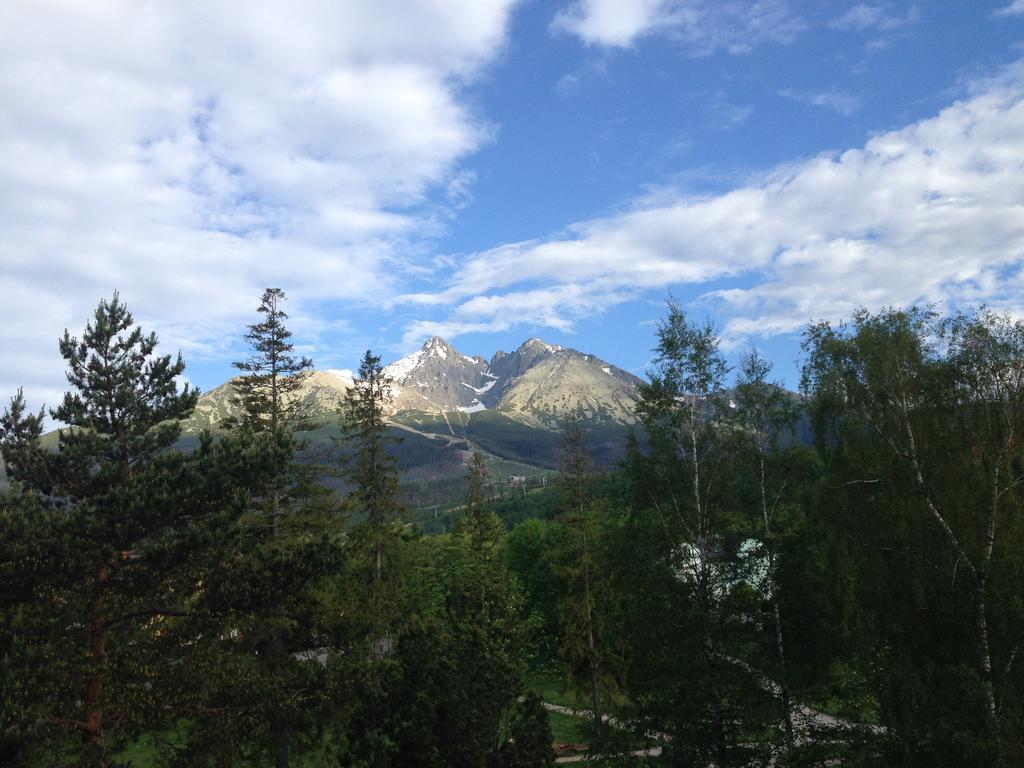 Wili Tatry Apartments Tatranská Lomnica Екстериор снимка